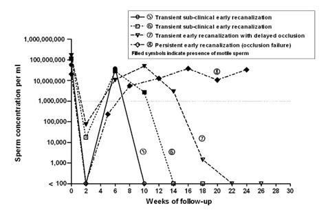 recanalization after vasectomy|vasectomy failure after 7 years.